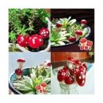 Hasonlók, mint a 20Pcs Vörös hab Gomba DIY figurák kézműves növénycserép kerti dísz miniatűr tündér kerti dekoráció Új